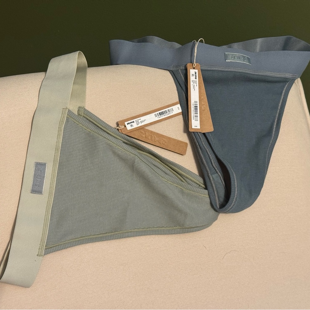 SKIMS Blue and Greenish Gray panties